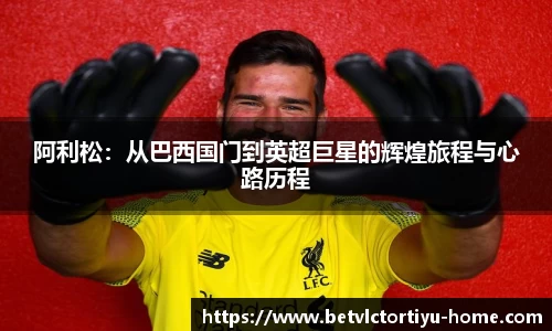 betvlctor体育